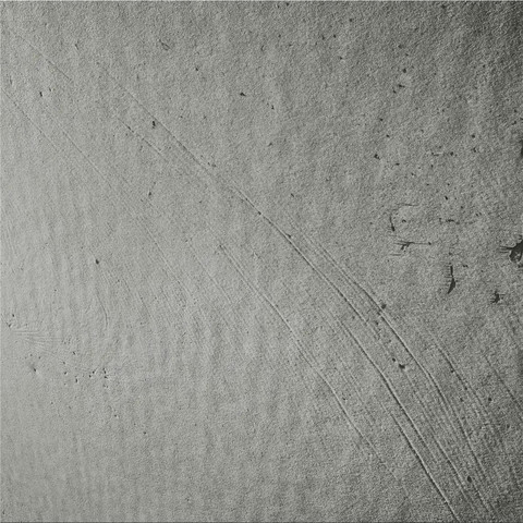 Concrete wallpaper wild